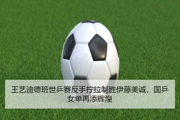 wang-yi-di-de-ban-shi-ping-sai-fan-shou-ning-la-zhi-sheng-yi-teng-mei-cheng-guo-ping-nv-dan-zai-tian-hui-huang-3-336.jpg