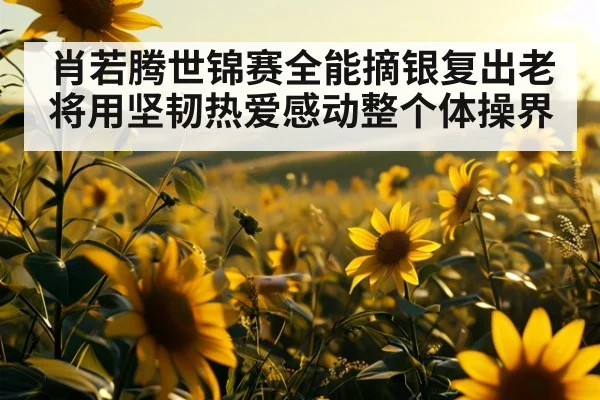 肖若腾世锦赛全能摘银复出老将用坚韧热爱感动整个体操界
